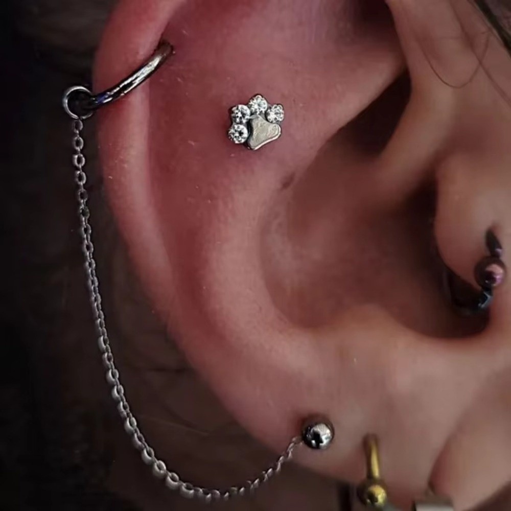 Tytanowy łańcuszek do nosa, tr – Body Jewelry Titanium recenzja i cena